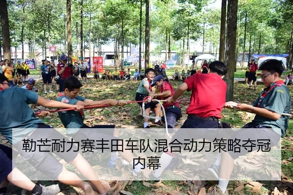 勒芒耐力赛丰田车队混合动力策略夺冠内幕