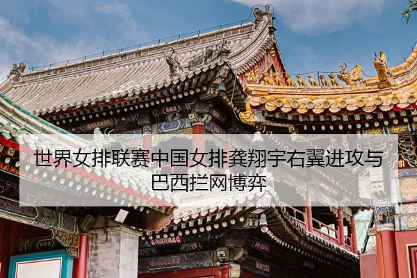 shi-jie-nv-pai-lian-sai-zhong-guo-nv-pai-gong-xiang-yu-you-yi-jin-gong-yu-ba-xi-lan-wang-bo-yi-3-222.jpg