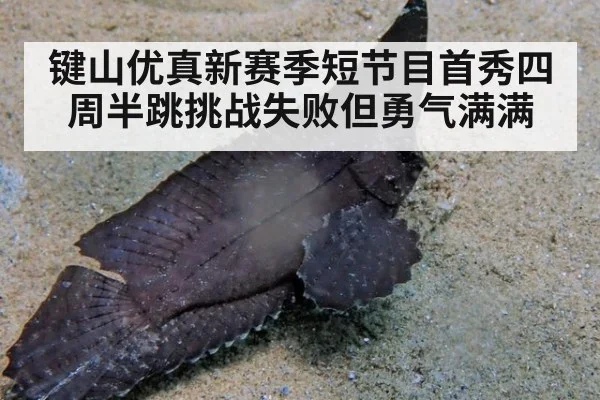 键山优真新赛季短节目首秀四周半跳挑战失败但勇气满满
